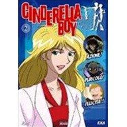 DVD CINDERELLA BOY VOL.2